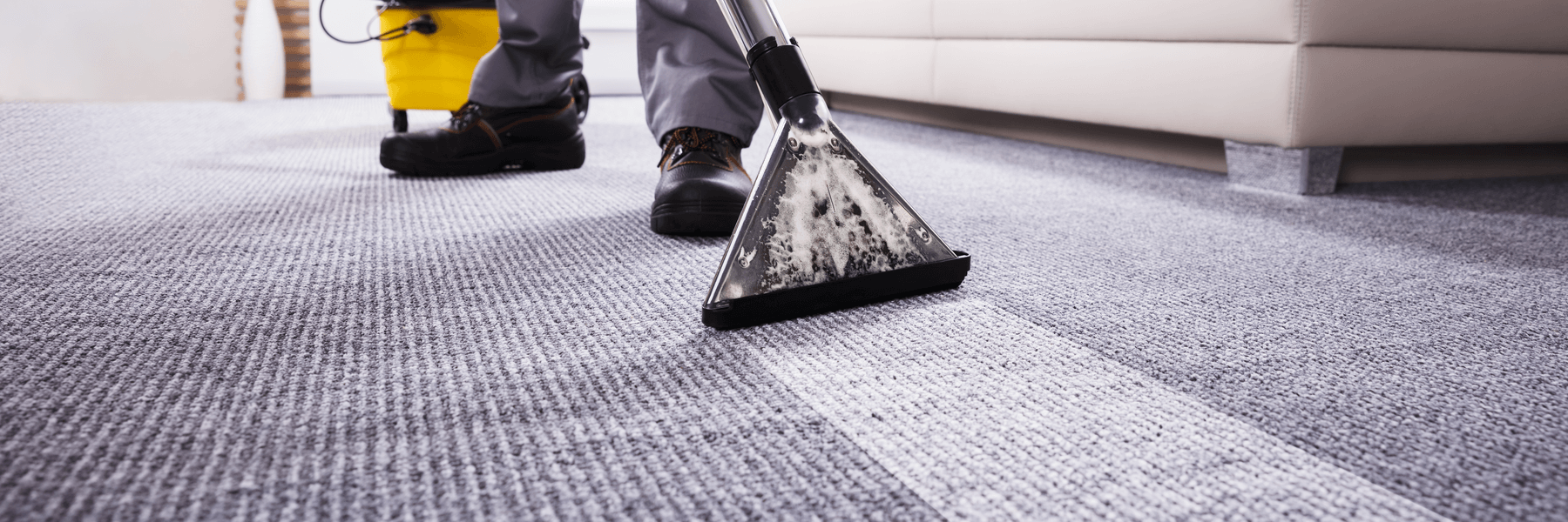Professional carpet cleaner deep cleaning office carpet